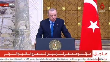 الرئيس التركي: نستهدف رفع حجم التبادل التجاري مع مصر إلى 15 مليار دولار الرئيس التركي: نستهدف رفع حجم التبادل التجاري مع مصر إلى 15 مليار دولار