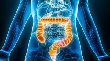 بعد وفاة نجم شهير.. لماذا يرتفع سرطان القولون بين الشباب؟ بعد وفاة نجم شهير.. لماذا يرتفع سرطان القولون بين الشباب؟