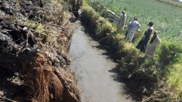 الزراعة تكثف أعمال تطهير المساقي بمحافظة الأقصر تزامنا مع موسم كسر القصب الزراعة تكثف أعمال تطهير المساقي بمحافظة الأقصر تزامنا مع موسم كسر القصب