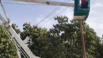 حملة صيانة لمنظومة الإنارة بقرى الدائرة الثالثة بالإسماعيلية