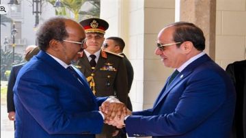 خبير: التبادل التجاري بين مصر والصومال بنسبة 11.6 فيديو خبير: التبادل التجاري بين مصر والصومال بنسبة 11.6 فيديو