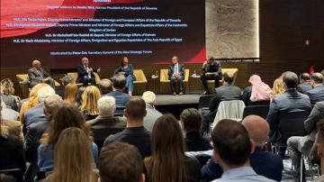 عبد العاطي: وقف إطلاق النار في غزة خطوة أولى نحو تهدئة مستدامة