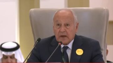 أبو الغيط يرحب بتشكيل حكومة يمنية جديدة