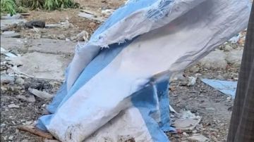 السر في طبيب نساء.. مفاجأة في واقعة العثور على أجنة داخل جوال في المنيا السر في طبيب نساء.. مفاجأة في واقعة العثور على أجنة داخل جوال في المنيا