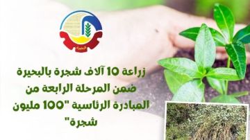 زراعة 10 آلاف شجرة ضمن المرحلة الرابعة من مبادرة 100 مليون شجرة بالبحيرة