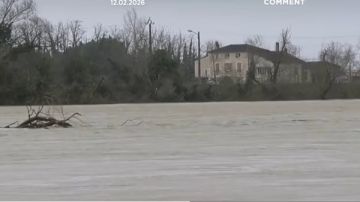 اقتلعت الأشجار.. العاصفة نيلز تضرب الساحل الأطلسي لفرنسا