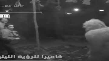 ثبات انفعالي من الفنانة سماح أنور بعد رؤية غوريلا رامز ليفل الوحش ثبات انفعالي من الفنانة سماح أنور بعد رؤية غوريلا رامز ليفل الوحش