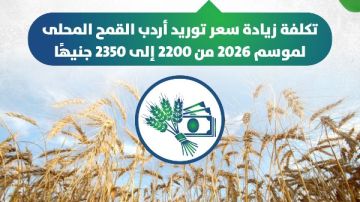 وزير المالية: زيادة سعر توريد أردب القمح المحلي من 2200 إلى 2350 جنيها وزير المالية: زيادة سعر توريد أردب القمح المحلي من 2200 إلى 2350 جنيها