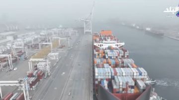 أحمد موسى: طول أرصفة ميناء دمياط 14 كيلومتر والغاطس 14.5 متر لاستقبال سفن عملاقة