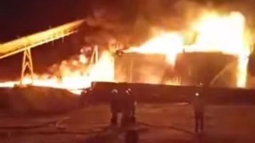 تصريح بدفن عامل والتحفظ على 4 آخرين في حريق مصنع الجبس بـ أبو زنيمة تصريح بدفن عامل والتحفظ على 4 آخرين في حريق مصنع الجبس بـ أبو زنيمة