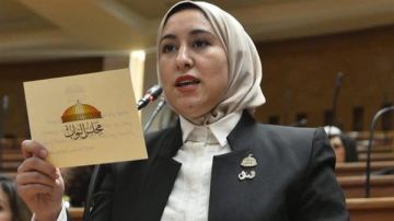 طلب إحاطة للنائبة صافيناز طلعت بشأن تراجع دور سلامة الغذاء في حماية صحة المواطنين