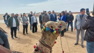 محافظ الجيزة يفتتح معرض الحرف التراثية واليدوية