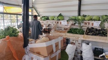 منافذ بأسعار مخفضة لمواجهة الغلاء في الوادي الجديد