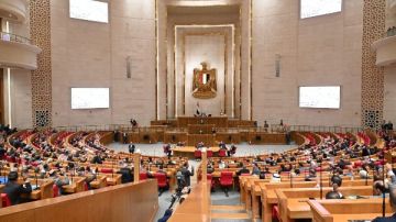 نائب يطالب بمراعاة الضوابط الدستورية بشأن تعديل قانون المهن الرياضية