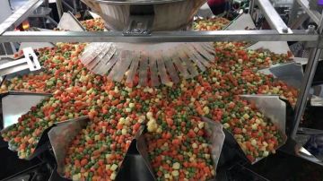 أرباح فوديكو تتراجع 25 خلال 2025 رغم نمو المبيعات أرباح فوديكو تتراجع 25 خلال 2025 رغم نمو المبيعات