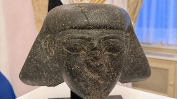 تعاون مصرى هولندى لاسترداد رأس حجرى نادر من عصر الملك تحتمس الثالث