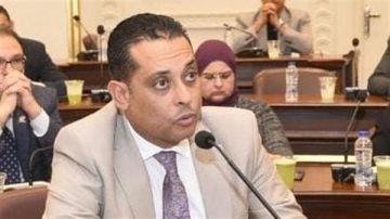 نشأت العمدة: الإعلان المشترك لقمة السيسي وأردوغان يعكس شراكة استراتيجية بين مصر وتركيا