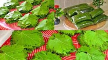 قبل رمضان مباشرة.. أفضل طرق تخزين وتفريز ورق العنب ليظل طازجا