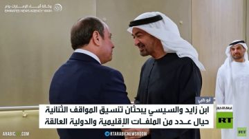 ابن زايد يستقبل السيسي في أبوظبي