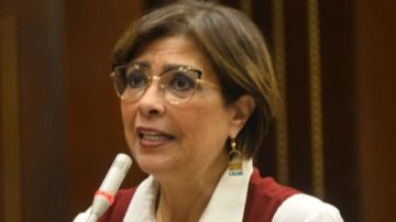 رئيس تضامن النواب في حوارها لـ صدى البلد : رخص قيادة كل 10 سنوات لذوي الإعاقة..دور الأيتام ملف حساس ونرفض الغلق دون بدائل