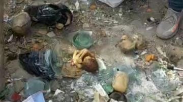 أجنة في القمامة حكاية هزت المنيا.. أحد الأهالي: الطبيب احتفظ بها بغرض تعليمي وبموافقة أصحابها