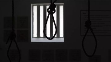 إحالة 6 متهمين في واقعة التعدي على أطفال بمدرسة سيدز إلى المفتي