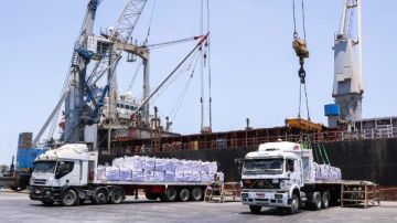 ميناء دمياط يستقبل 14 سفينة حاويات وبضائع عامة