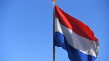 هولندا.. إصابة 30 رضيعا بالتسمم بعد تناول حليب صناعي