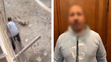 القبض على المتهم بقتل كلب بالمعادى القبض على المتهم بقتل كلب بالمعادى