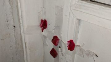 خلال شهر .. استصدار 77 قرار غلق لمنشآت طبية خاصة بقنا