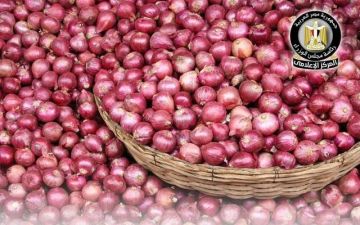 مصر تفتح السوق الفيتنامي أمام صادرات البصل والثوم