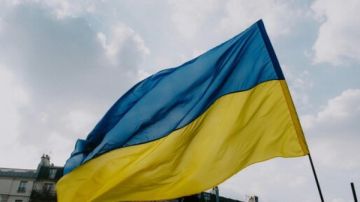 منسق أممي: العمليات القتالية في أوكرانيا أدت إلى فقدان الوصول الإنساني إلى 80 ألف مدني منسق أممي: العمليات القتالية في أوكرانيا أدت إلى فقدان الوصول الإنساني إلى 80 ألف مدني