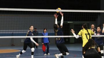 اليوم.. ختام بطولة كأس السوبر المصري للكرة الطائرة آنسات