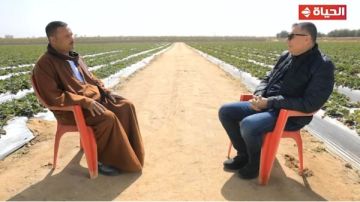 تجربة مبهرة .. حسن بدأ من الصفر والآن يمتلك 300 فدان .. تعرف على قصة كفاح