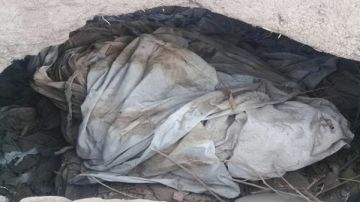 تفاصيل صادمة بواقعة مقـتـ.ـل فتاة والتخلص من جثمانها في حقيبة بالإسكندرية