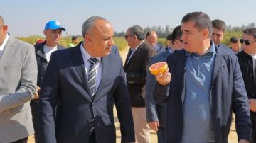 جهاز مستقبل مصر يستقبل وفدا أوزبكيا لبحث فرص التعاون والاستثمار الزراعي المشترك جهاز مستقبل مصر يستقبل وفدا أوزبكيا لبحث فرص التعاون والاستثمار الزراعي المشترك