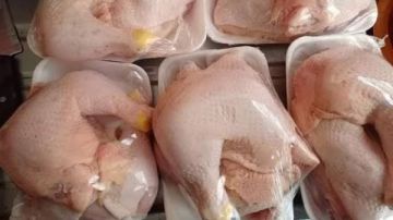 الكيلو يصل إلى 115 جنيها.. أسعار الفراخ اليوم الخميس 5 فبراير