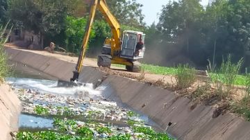 زراعة المنوفية: تطهير 400 كيلو مساقى من أول يوليو 2025 حتى الآن