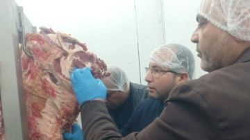 ضبط 7 أطنان لحوم ومقطعات دواجن غير صالحة للاستهلاك بالقليوبية .. صور