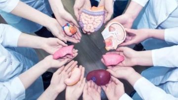 12 شرطا للتبرع بالأعضاء البشرية طبقا للقانون.. تعرف عليها