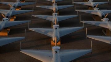 أمريكا تجهز وحدة المسيرات الانتحارية للمشاركة في الهجوم على إيران أمريكا تجهز وحدة المسيرات الانتحارية للمشاركة في الهجوم على إيران