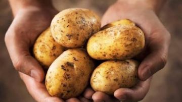 قلي ولا طبيخ .. طرق اختيار نوع البطاطس الصحيح