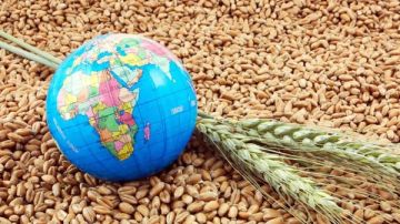 مستقبل مصر.. مشروع قومي يعزز الأمن الغذائي ويدعم الاقتصاد حتى 2050 مستقبل مصر.. مشروع قومي يعزز الأمن الغذائي ويدعم الاقتصاد حتى 2050