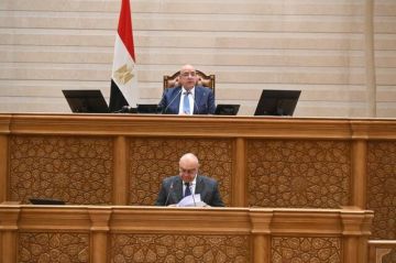 النواب المصري يقر اتفاقيتين بمنحتين لدعم مشروعات تنموية وتقنية مع كوريا واليابان