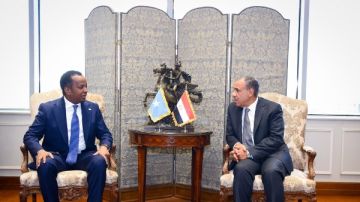 وزير الخارجية يناقش مع نظيره بالصومال دعم الشراكة الاستراتيجية بين البلدين