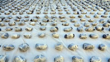 ضبط تشكيل عصابي شديد الخطورة بحوزتهم 3 أطنان من المخدرات بالسويس