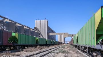 ميناء دمياط يستقبل 10 سفن حاويات وبضائع عامة