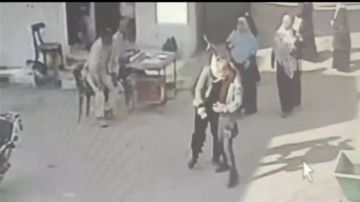 وزير الزراعة يعين المهندس حسام الدين محفوظ وكيلا لوزارة الزراعة بالغربية عقب مشاجرة مديرية الزراعة وزير الزراعة يعين المهندس حسام الدين محفوظ وكيلا لوزارة الزراعة بالغربية عقب مشاجرة مديرية الزراعة