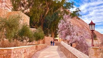 396 سائحا يتسلقون جبل موسى تزامنا مع بدء الصوم الكبير وإغلاق دير سانت كاترين ثلاثة أيام 396 سائحا يتسلقون جبل موسى تزامنا مع بدء الصوم الكبير وإغلاق دير سانت كاترين ثلاثة أيام