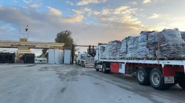 الهلال الأحمر المصري يواصل دعمه لغزة بقافلة زاد العزة 136 صور